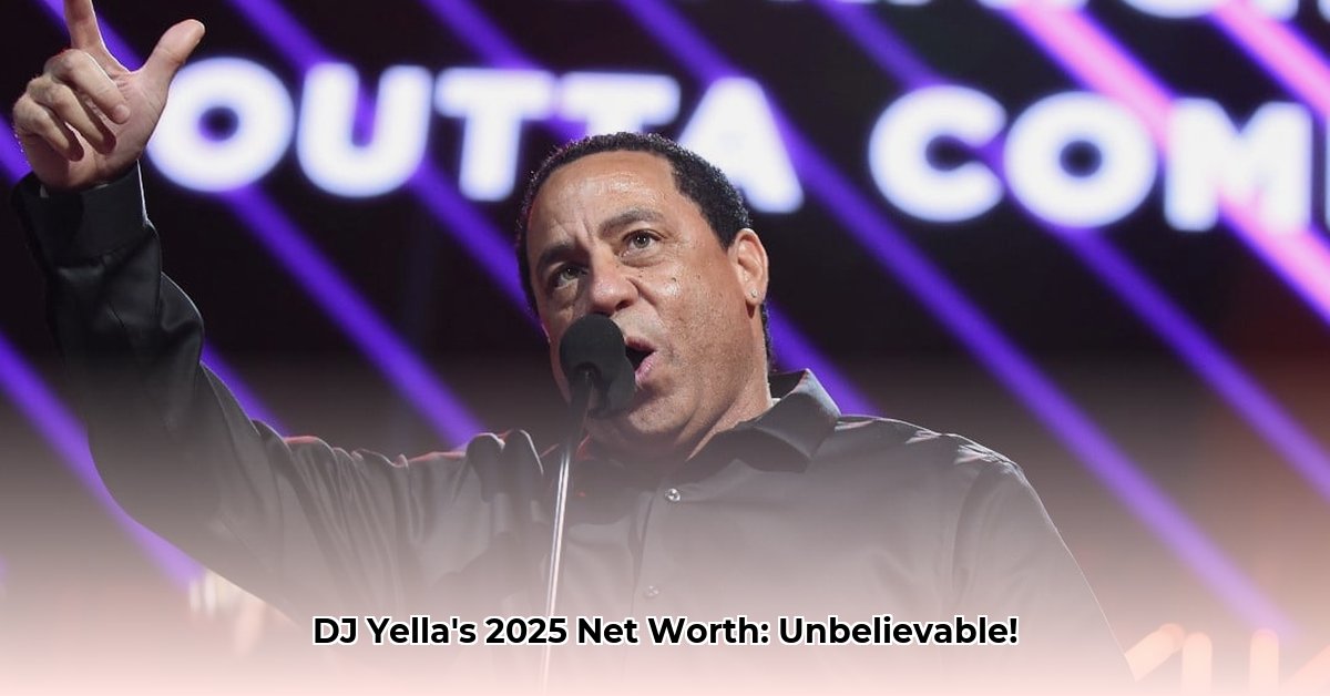 dj-yella-net-worth